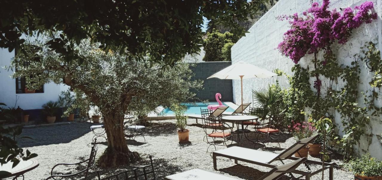 Bed & Breakfast El Cielo Azul Alora