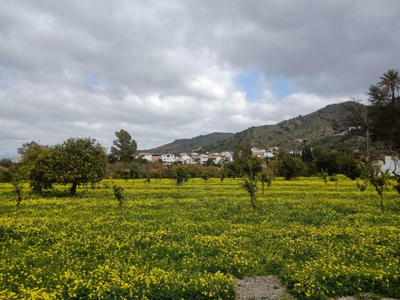El Cielo Azul Alora
