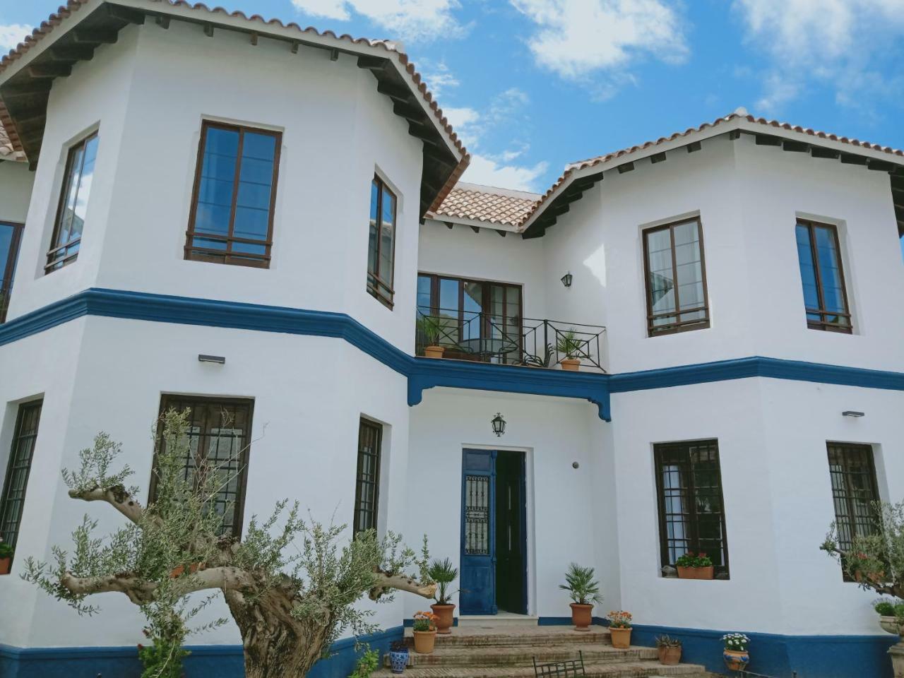 El Cielo Azul 2*